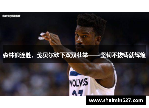 森林狼连胜，戈贝尔砍下双双壮举——坚韧不拔铸就辉煌